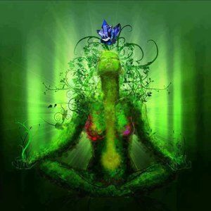 Meet your Posher, Terry